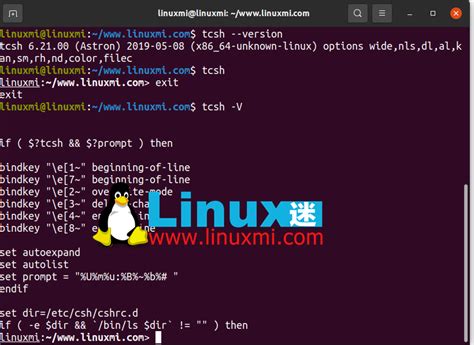 How U Get to Linux Shell 的图像结果