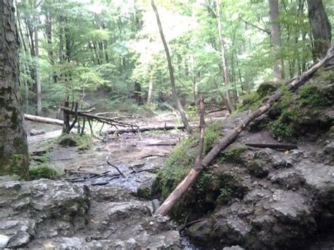 Image result for Example of a Spring Water Source