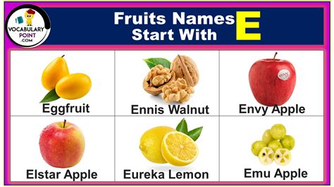 Fruits Starting with E (Properties and Pictures) - Vocabulary Point