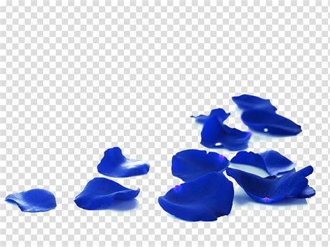 Image result for How to Install Visual Studio Code