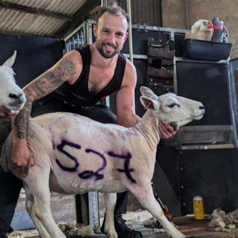 Image result for Advanced Course in Shearing Dubbo