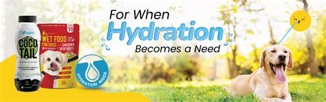 Pet Shop Online:Buy Pet Food, Medication & Pet Care Services in India