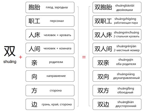 Китайский язык с нуля: Китайские слова с приставкой 双 (shuāng)