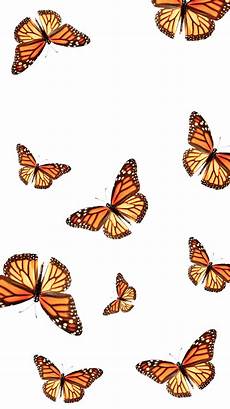 Orange Butterfly Wallpaper Vsco by Lindokat75 Follow For More Butterfly Wallpaper Orange Butterfly Wallpaper Vsco