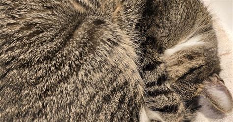 Image result for Visual Studio vs JavaScript