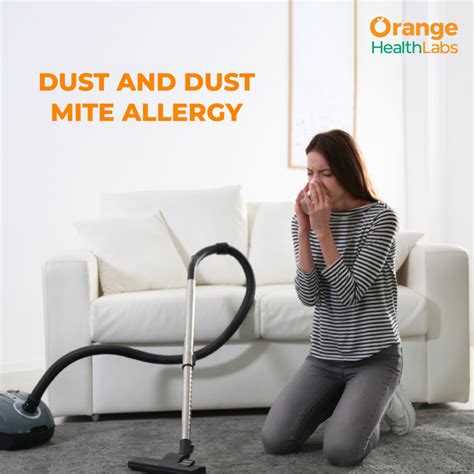 Dust and Dust Mite Allergy: Understanding the Basics