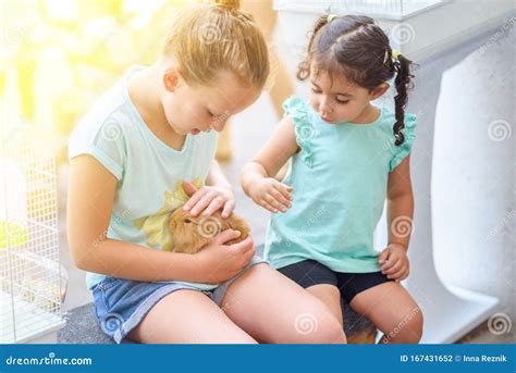 Two Happy Young Girls Playing with Bunny Rabbit. Stock Photo - Image of ...