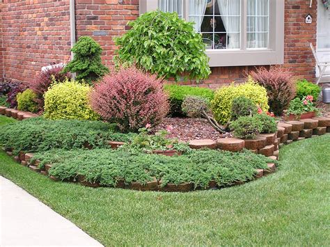 Types Of Bushes For Front Yard at Emery Espinosa blog