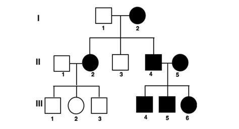 The pedigree below tracks the presence of attached earlobes through a ...