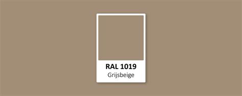 RAL 1019: wat voor kleur is het? - De Verfzaak