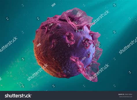 781 Mononucleosis Images, Stock Photos & Vectors | Shutterstock