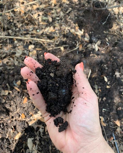 Canvas Paulding County