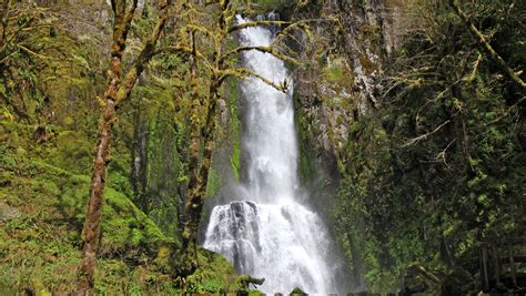 Oregon's best Coast Range trails, featuring Kentucky Falls, reopens