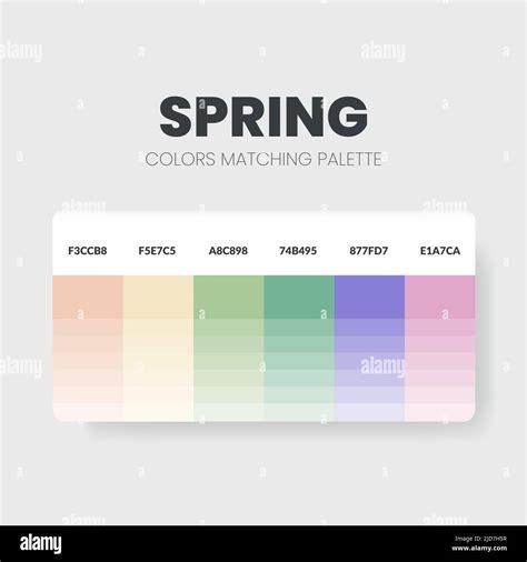 Image result for Web Color Codes Chart