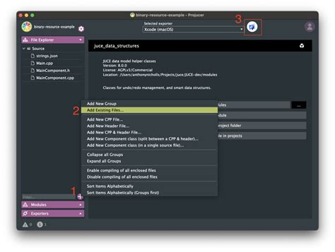 JUCE Tutorial 的图像结果