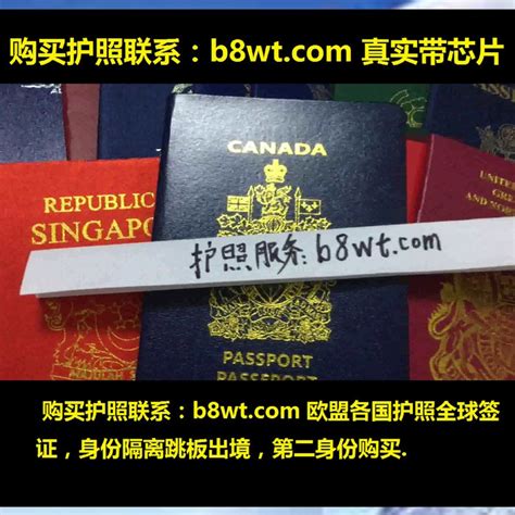 斯洛伐克护照标题旅游图章白色旅行邮票假期红色徽章高清图片下载-正版图片321871121-摄图网