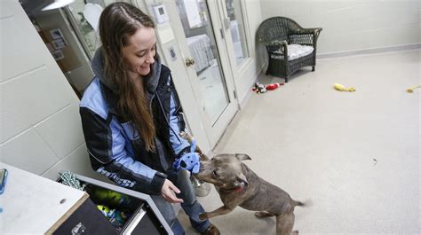 Manitowoc council to mull Humane Society interest in Indian Creek Park