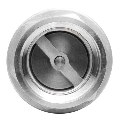 Image result for Stainless Spring Check Valve