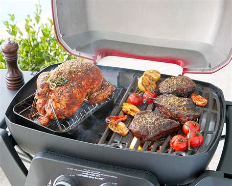Buy Ziggy Elite Twin Grill Natural Gas BBQ Plus Cart Bundle - Gunmetal Grey at Barbeques Galore.
