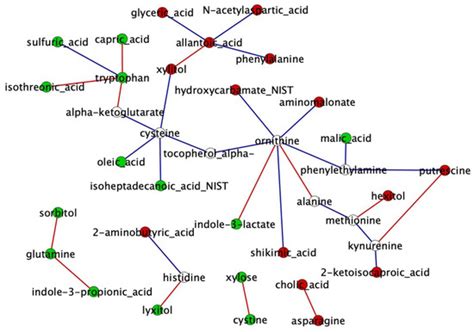 Co-Expression Network and Integrative Analysis of Metabolome and ...