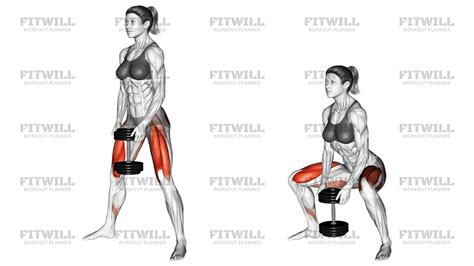 Dumbbell Sumo Squat: Exercise Guide, Video, Techniques, Benefits, How ...