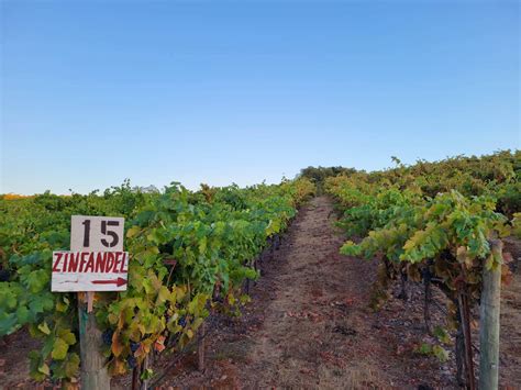 Gallery | Laguna Canyon Winery