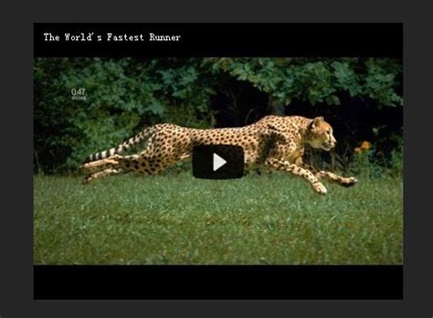 jQuery Plugin To Track User Activity On Videos - Videolog | jQuery Plugin