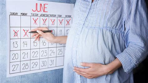 What To Expect In The Third Trimester: A Week-by-Week Guide - Baby Forest
