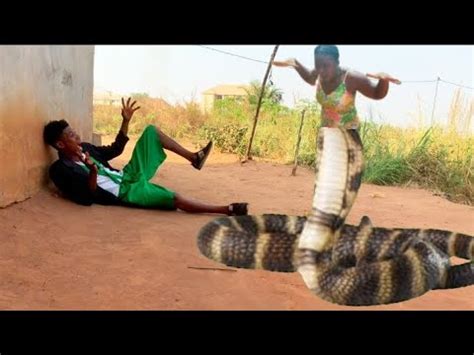 Image result for Python Wrapped around Girl YouTube