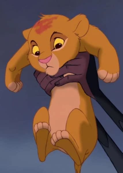 Image result for Simba Voice Actor