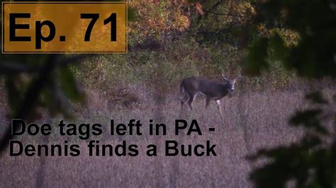 Doe tags left in PA - Dennis finds a Buck | Wild Bout Huntin - YouTube