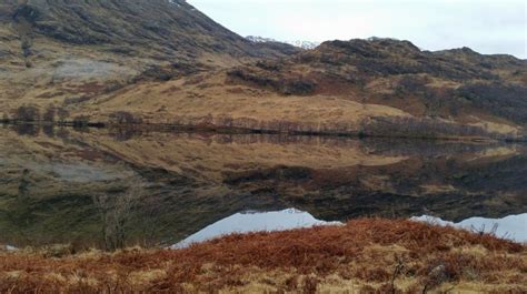 Eigg Organics – Green Bed & Breakfast in Cleadale, Highland, Scotland, GB