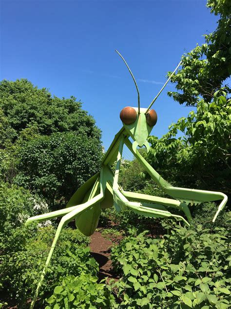 CHADWICK ARBORETUM (2026) All You Need to Know BEFORE You Go (with ...