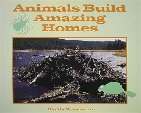 Animals build amazing homes : Hedda Nussbaum: Amazon.in: Books