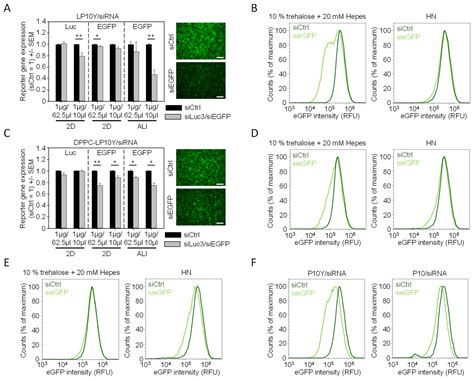 Analysis of Polymer/siRNA Nanoparticle Efficacy and Biocompatibility in ...
