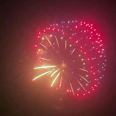 Image result for Display Shell Fireworks