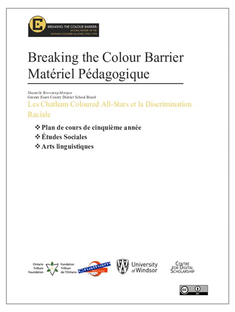 Image result for Color Line Bar