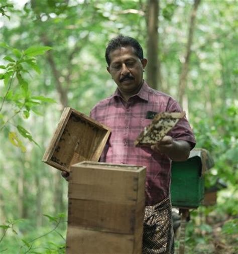 Empowering Smallholders through FSC-Certified Natural Rubber in India ...
