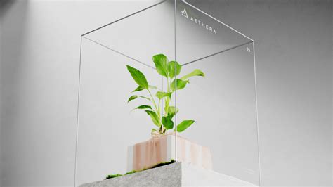 Python Flashing Text 的图像结果