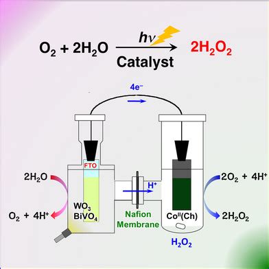 H2O2 Mechanism 的图像结果