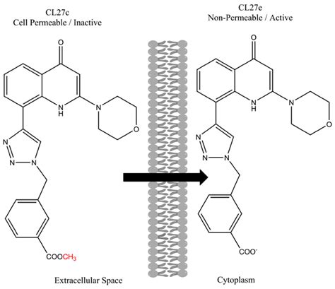 Strategies to Overcome Biological Barriers Associated with Pulmonary ...
