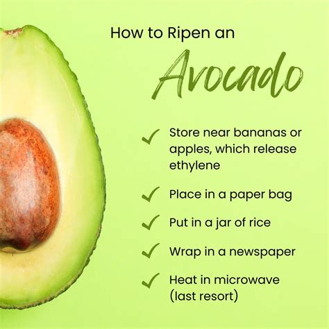 7 Ways to Use Unripe Avocado (and How to Ripen a Cut One) - Delishably - can you eat unripe avocado