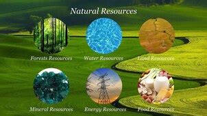 Resource 的图像结果