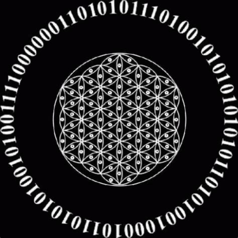 Binary Code GIF 的图像结果