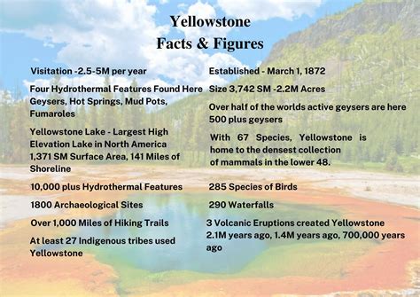 Information Sheets Yellowstone Area — Scott Terry