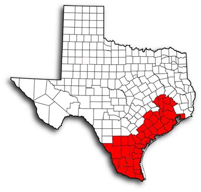 Image result for Texas Exploding Heart Quilt Block Pattern