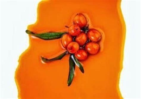 Sea Buckthorn Oil - Sea Buckthorn Seed Hair Oil Manufacturer from Jaipur