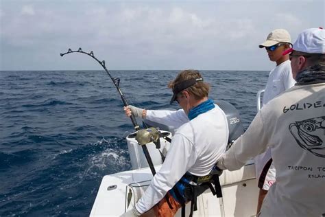 Image result for Catching Big Fish Tips
