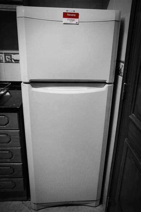 Different Ways To Say Refrigerator In Spanish at Millard Edith blog