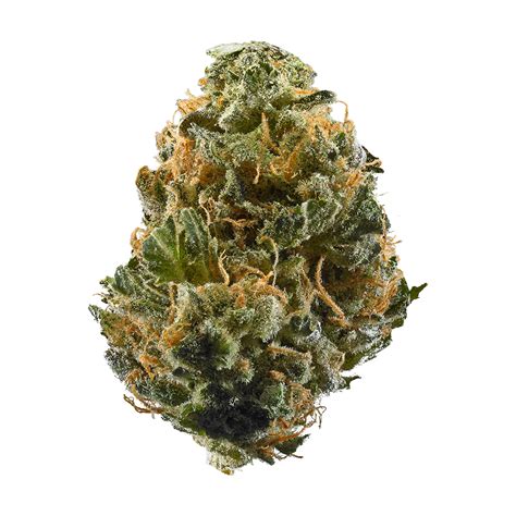 Mac V2 aka Mac 2, Mac2 Weed Strain Information | Leafly